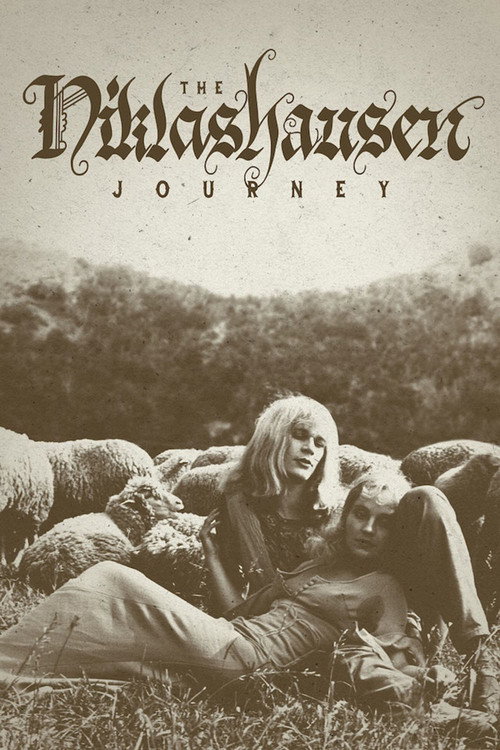 Movie poster for The Niklashausen Journey (1970)