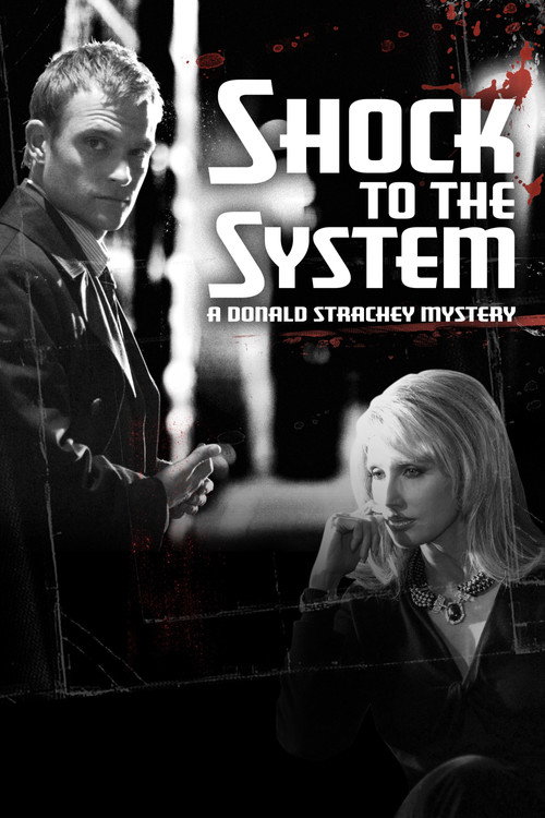 Movie poster for Shock to the System: A Donald Strachey Mystery (2006)
