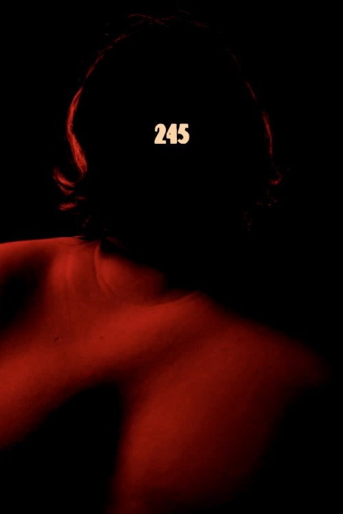 Movie poster for 245 (2020)