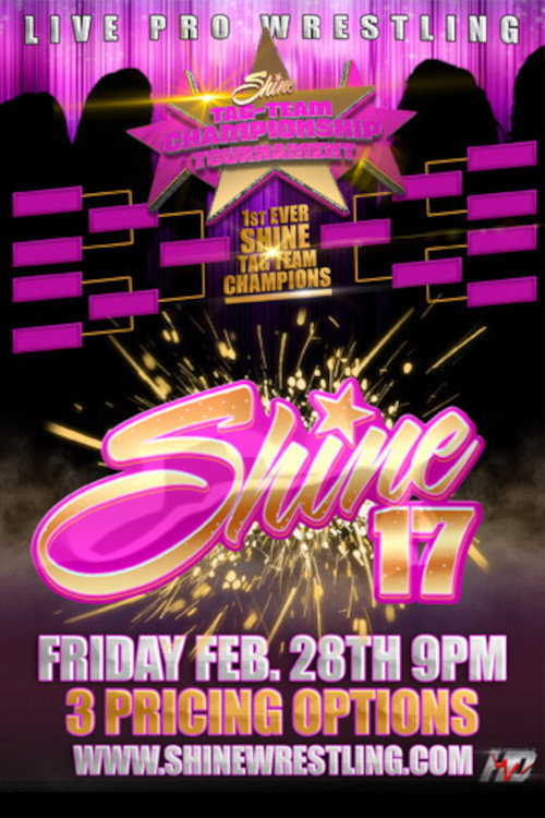 Movie poster for SHINE 17 (2014)