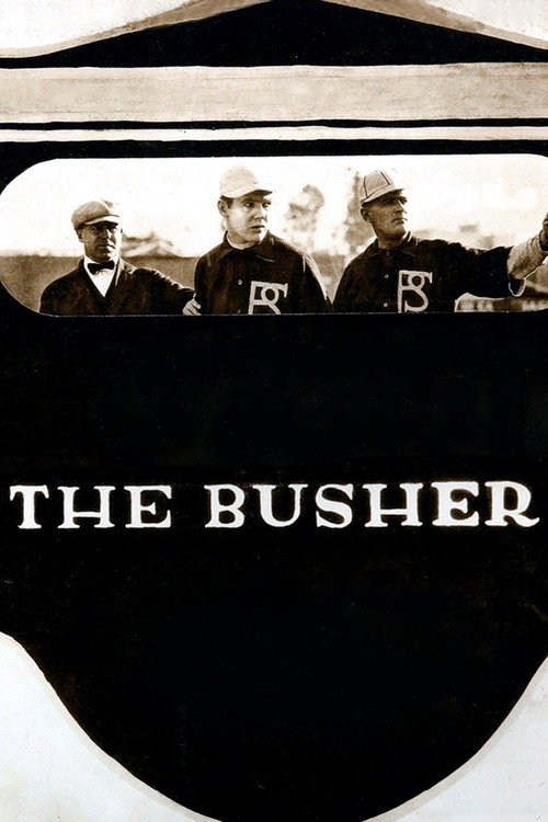 Movie poster for The Busher (1919)
