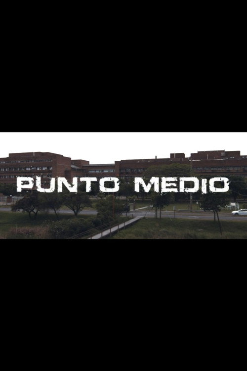 Movie poster for Punto medio (2015)
