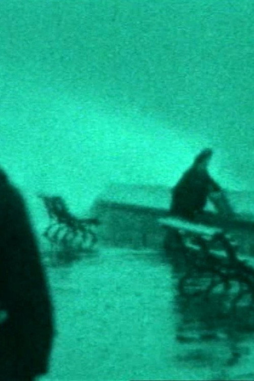 Movie poster for The Maelstrom: A Family Chronicle (1997)