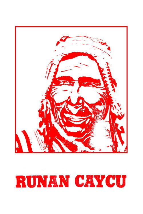 Movie poster for Runan Caycu (1973)