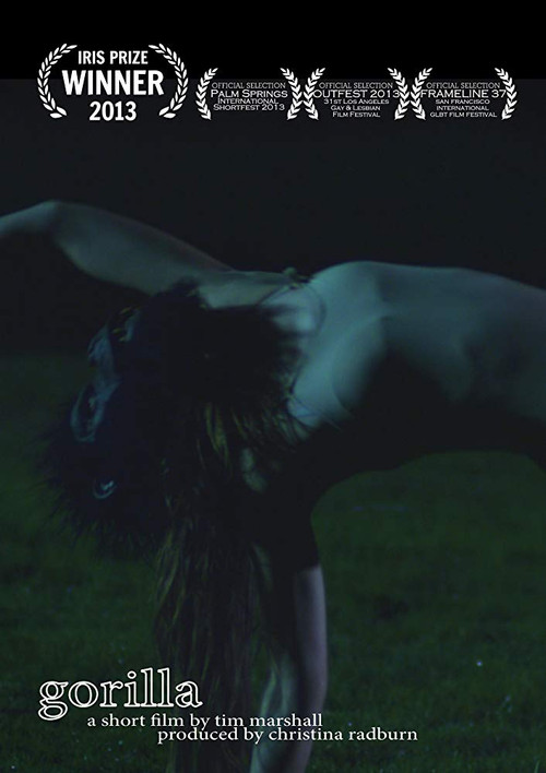 Movie poster for Gorilla (2013)