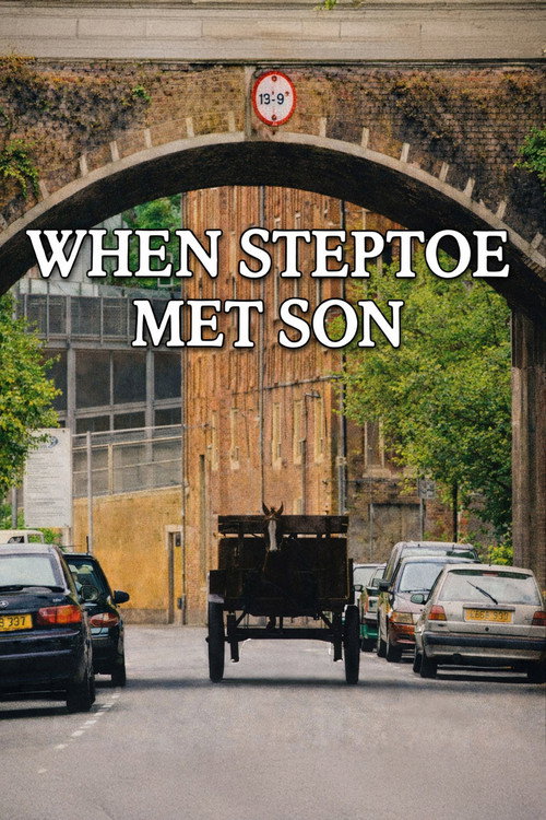 Movie poster for When Steptoe Met Son (2002)