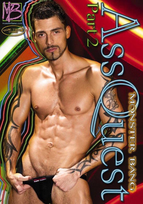 Movie poster for Ass Quest Part 2 (2006)