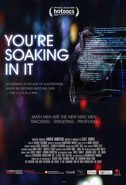 Movie poster for You're Soaking in It (2017)