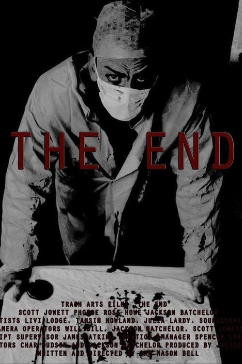 Movie poster for The End (2016)