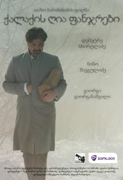 Movie poster for Open Windows of the City (2012)
