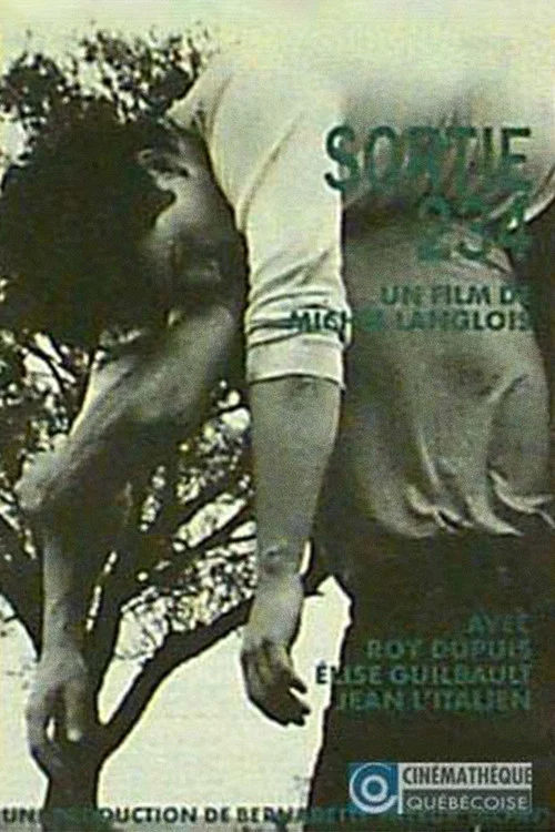 Movie poster for Sortie 234 (1988)
