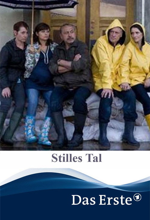 Movie poster for Stilles Tal (2011)