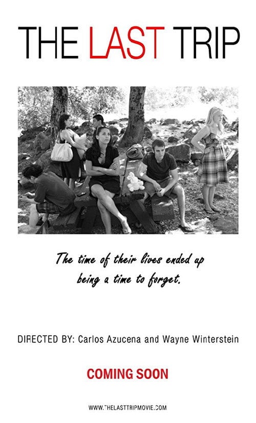 Movie poster for The Last Trip (2015)