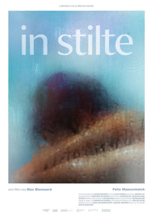 Movie poster for In Silence