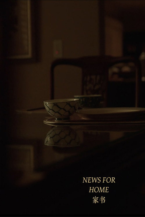 Movie poster for News for Home