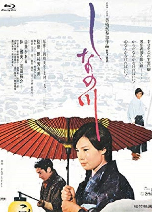 Movie poster for The Shinano River (1973)