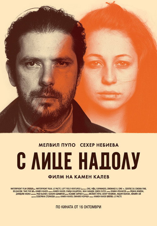 Movie poster for Face Down (2015)