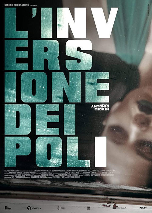 Movie poster for L'inversione dei poli (2018)