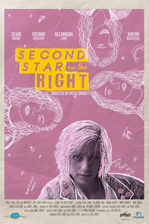Movie poster for Second Star on the Right (2019)
