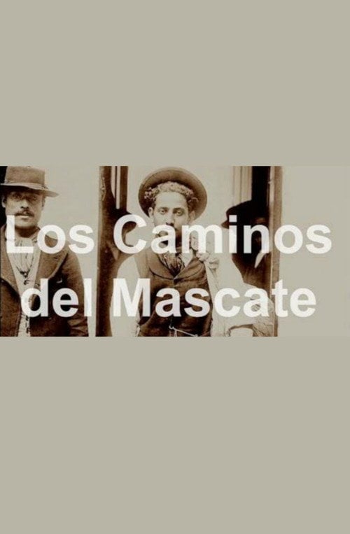 Movie poster for Los Caminos del Mascate (2012)