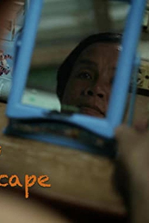 Movie poster for Ladyboys, Another Landscape (2017)