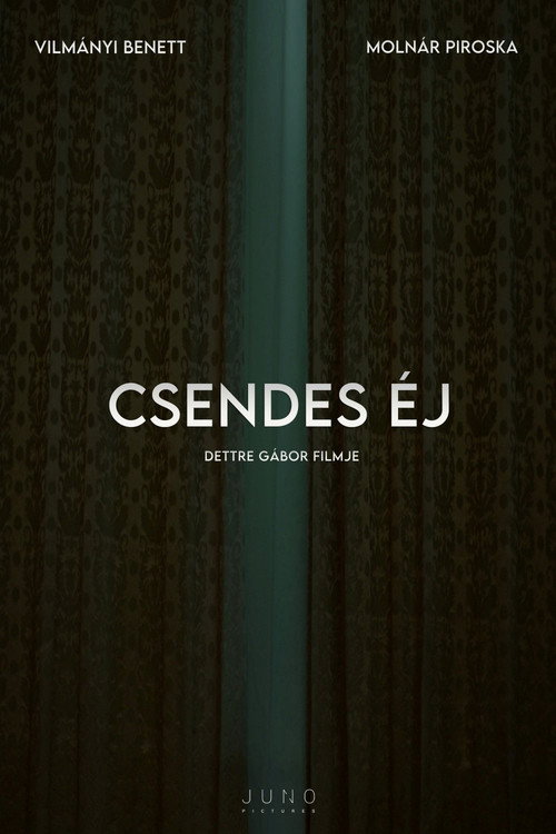 Movie poster for Csendes éj (2024)