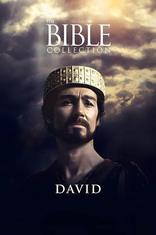 Movie poster for David (1997)