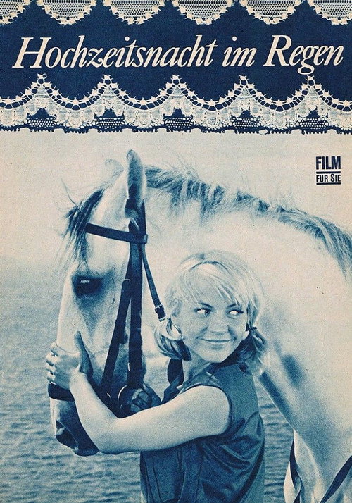 Movie poster for Wedding Night In The Drizzle (1967)