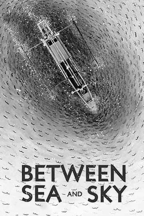 Movie poster for Between Sea and Sky (2020)