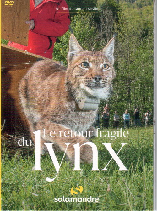 Movie poster for The Fragile Return Of The Lynx (2021)