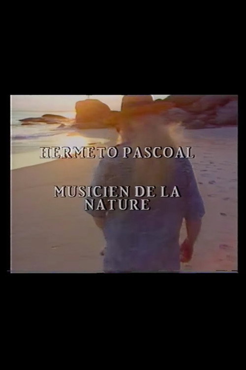 Movie poster for Hermeto Pascoal - Musicien de la Nature (1990)