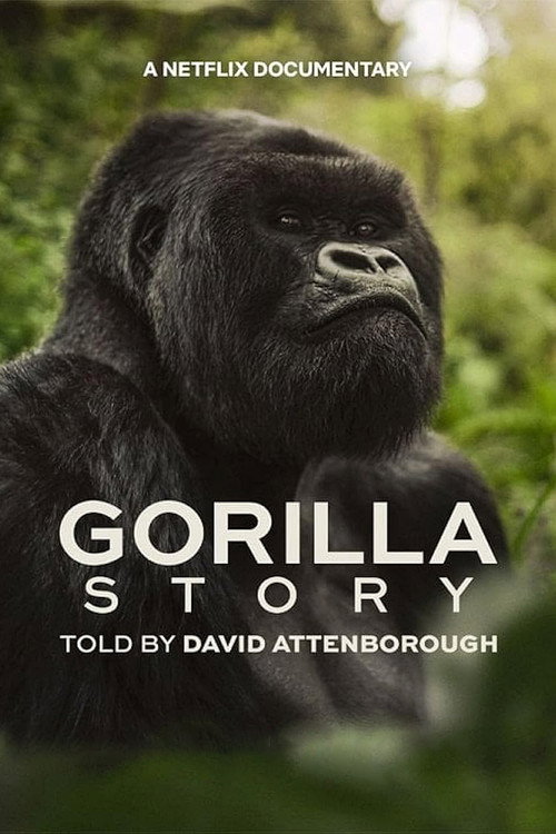 Movie poster for A Gorilla Story: Told by David Attenborough (2026)