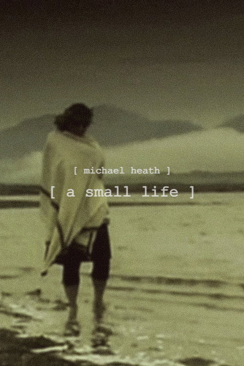 Movie poster for A Small Life (2000)