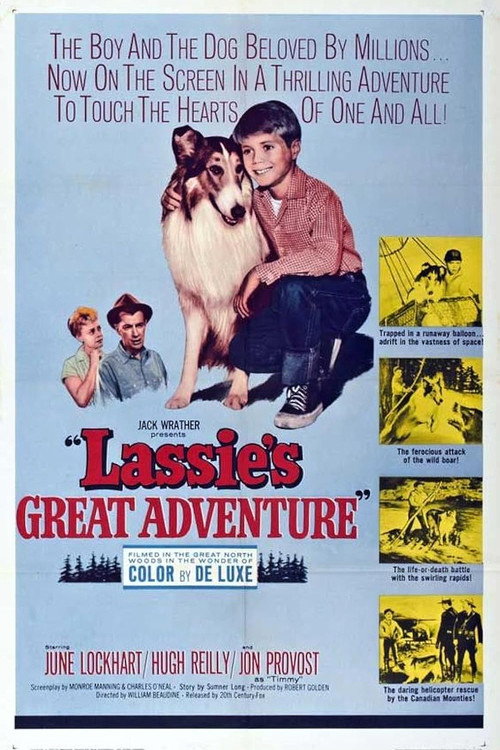 Movie poster for Lassie's Greatest Adventure (1963)