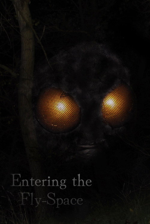Movie poster for Entering the Fly-Space (2026)