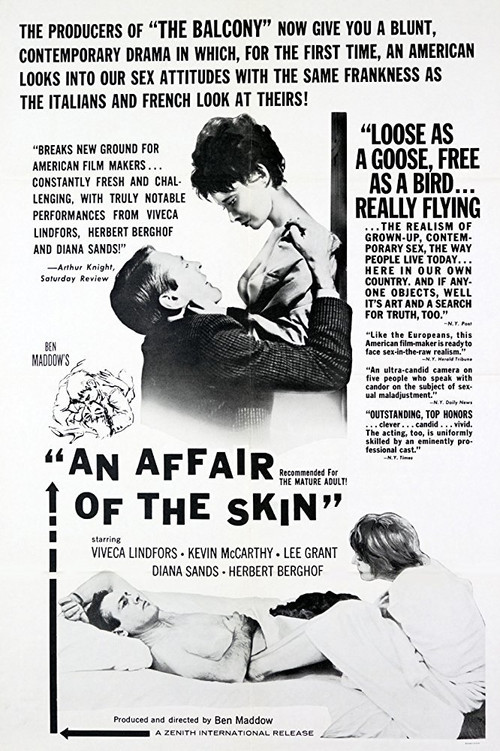 Movie poster for An Affair of the Skin (1963)