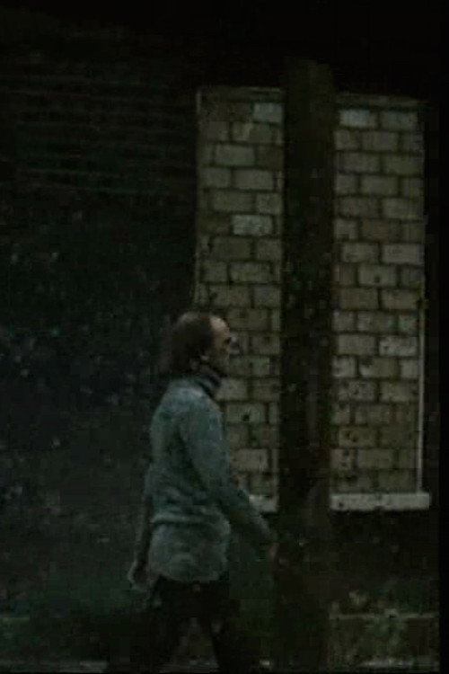 Movie poster for Fergus Walking (1978)