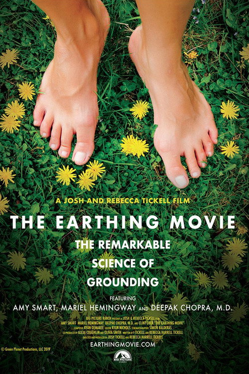 Movie poster for The Earthing Movie (2019)