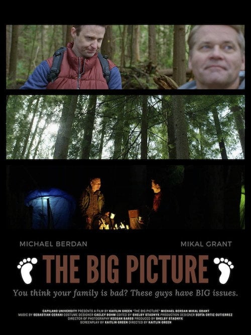 Movie poster for The Big Picture (2021)