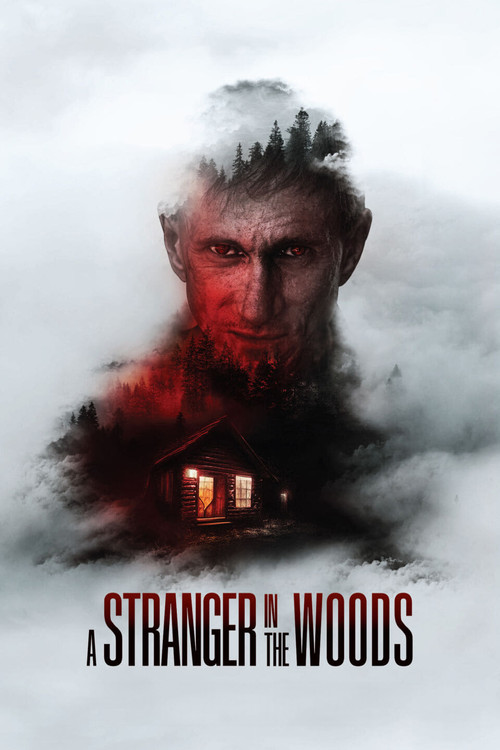 Movie poster for A Stranger in the Woods (2024)