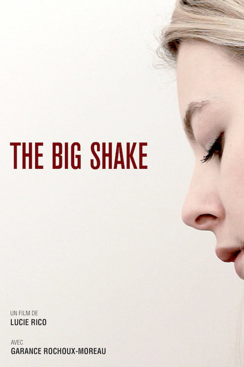 Movie poster for The Big Shake (2014)