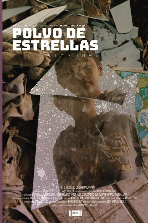 Movie poster for Stardust (2018)
