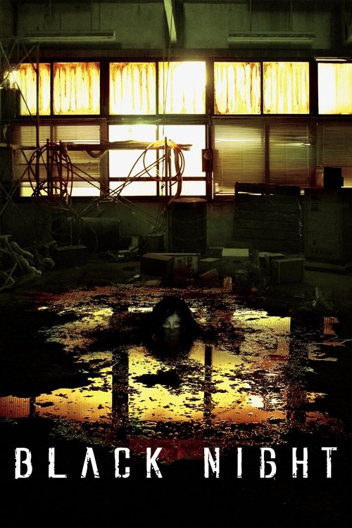 Movie poster for Black Night (2006)