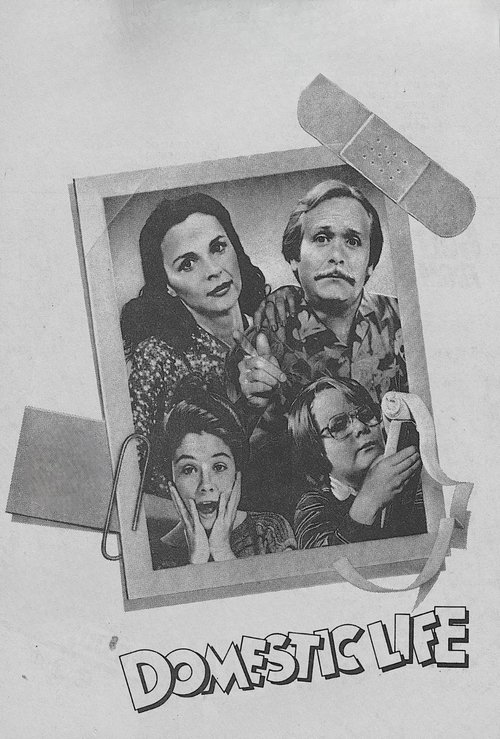 Domestic Life poster