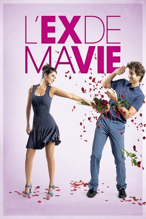 Movie poster for Divorce French Style (2014)