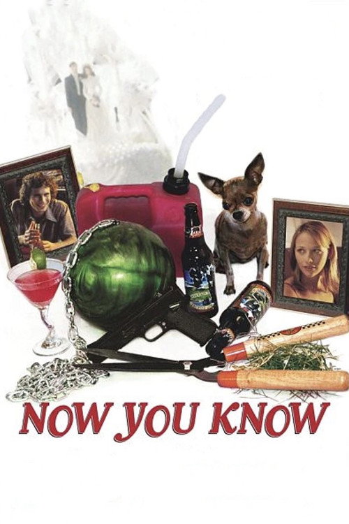 Movie poster for Now You Know (2002)