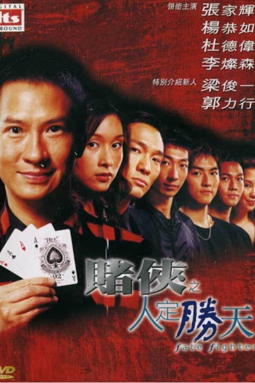 Movie poster for Fate Fighter (2003)