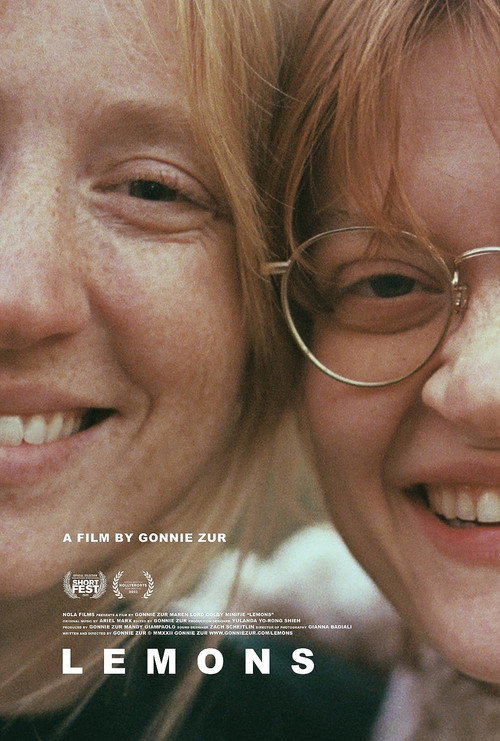 Movie poster for Lemons (2022)