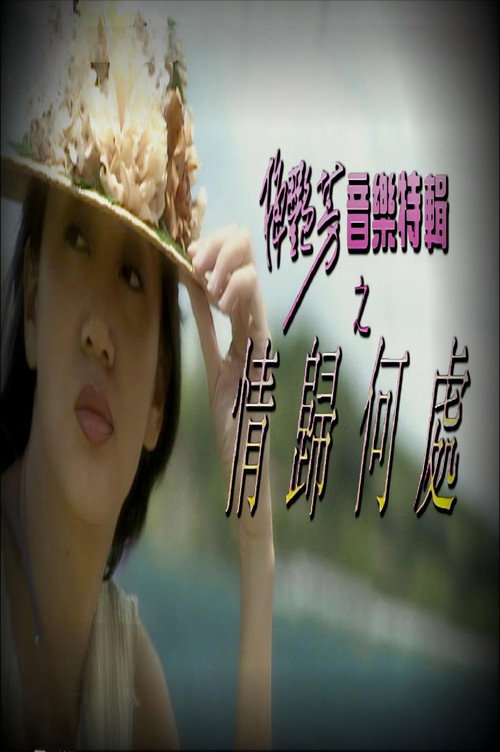 Series poster for 梅艷芳音樂特輯之情歸何處 (1994)