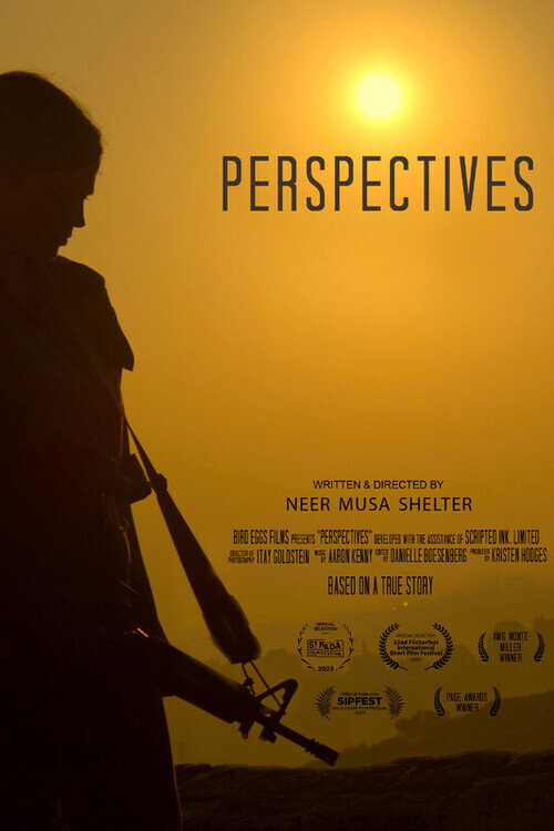 Movie poster for Perspectives (2023)
